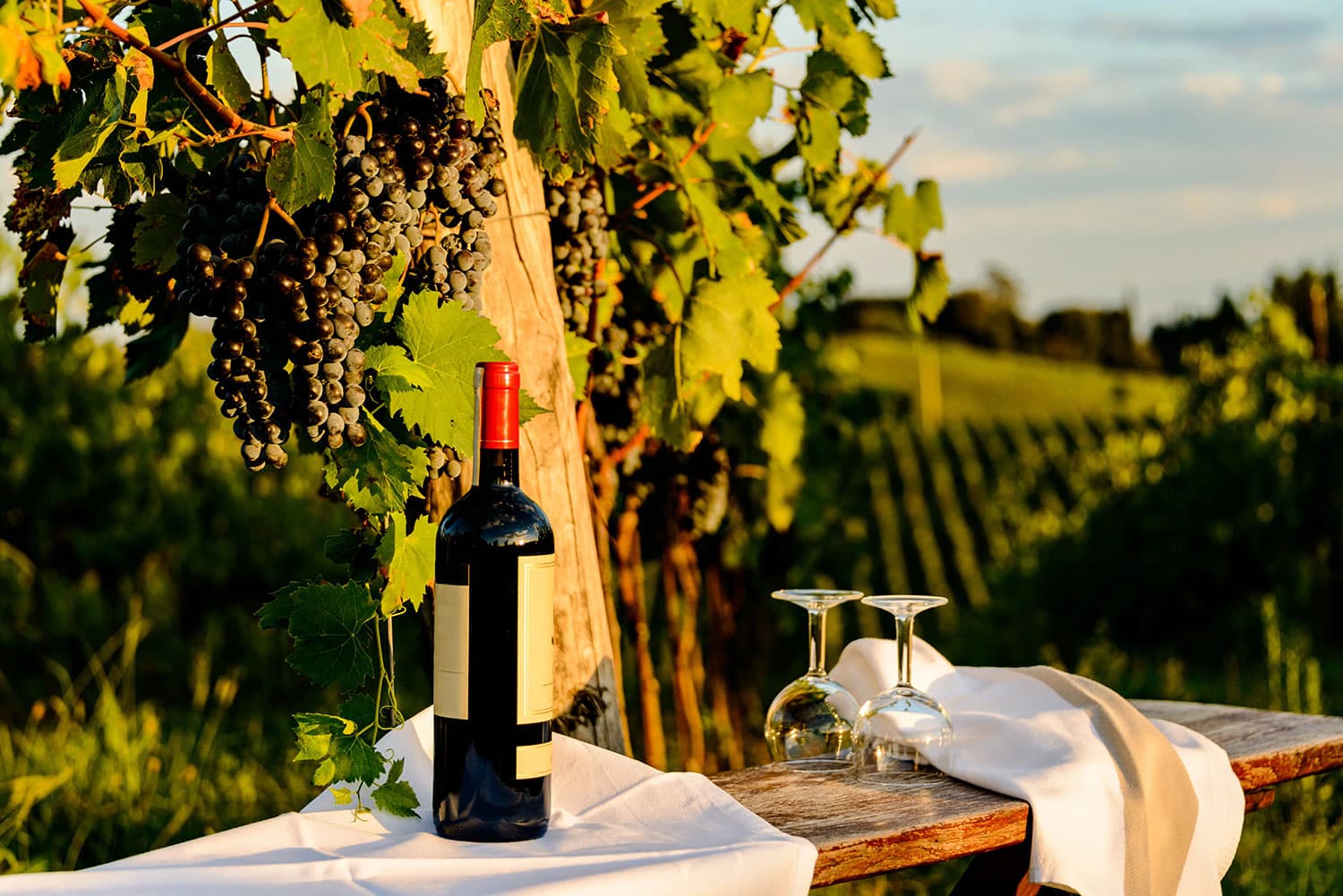 italie-chianti